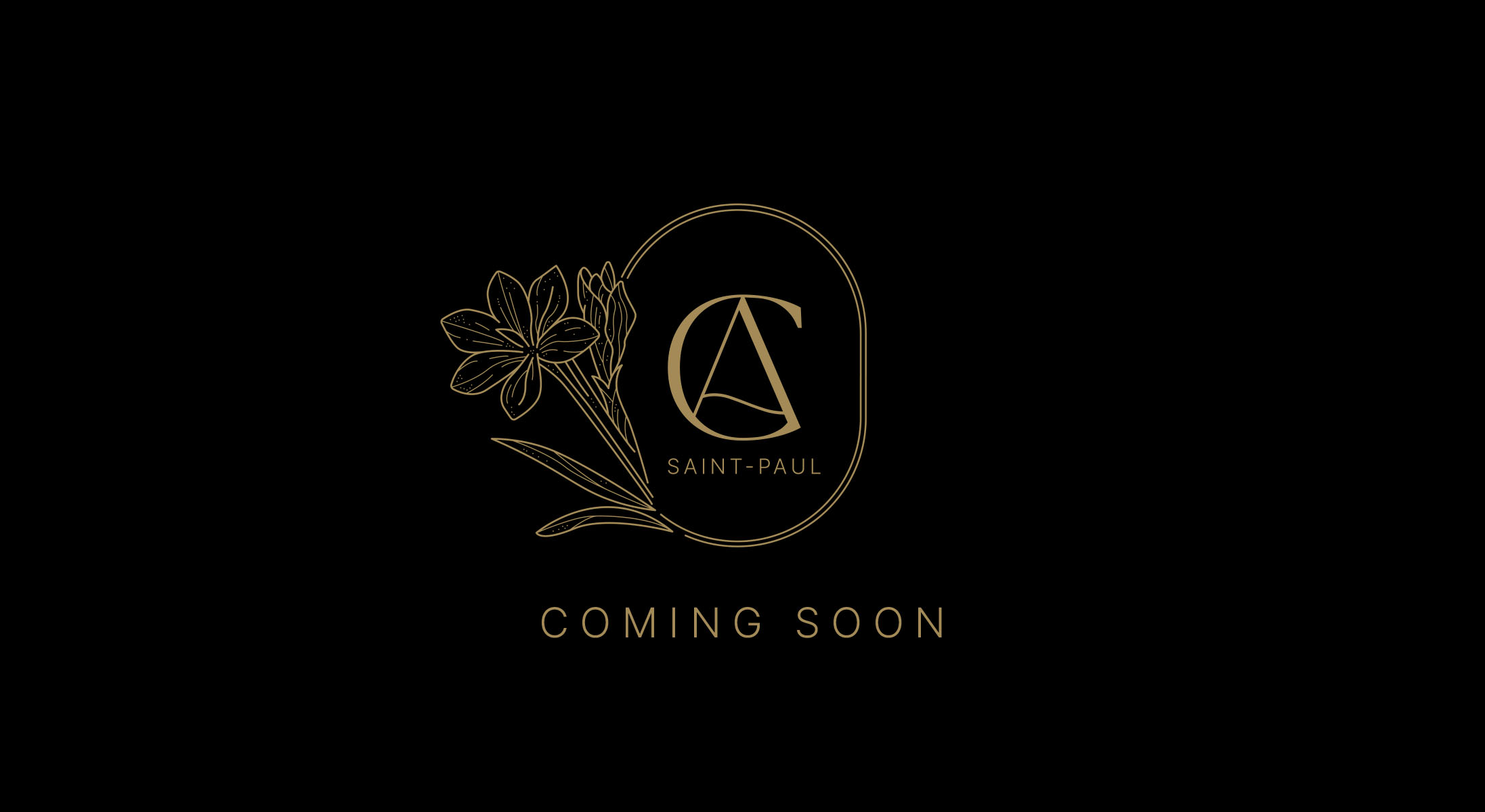 AMAVIA COLLECTION collection saint paul